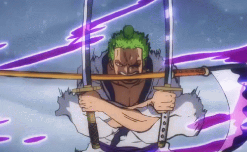 Zoro - Unlimited Series product image (2)