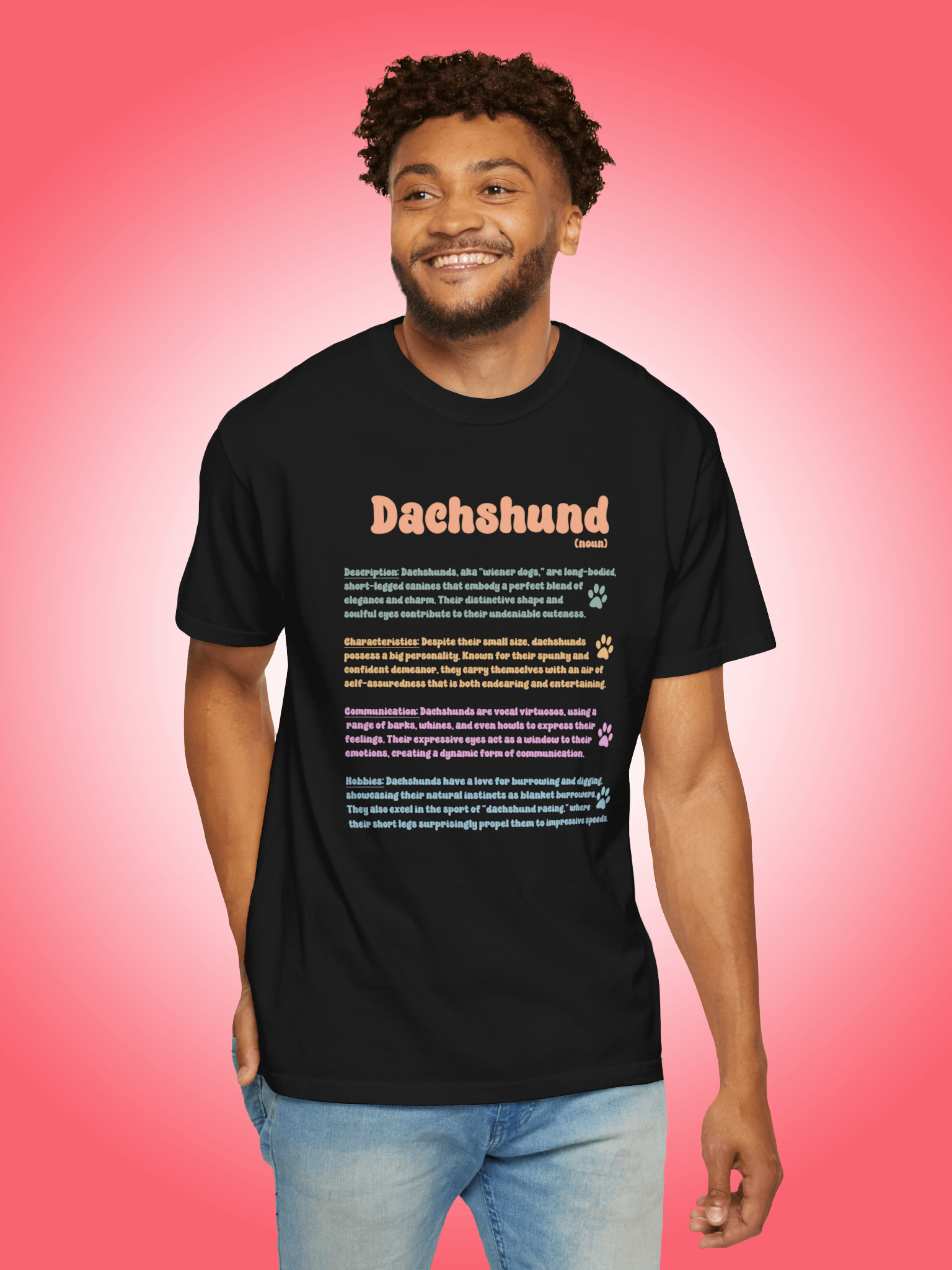 Definition of a Dachshund product image (1)