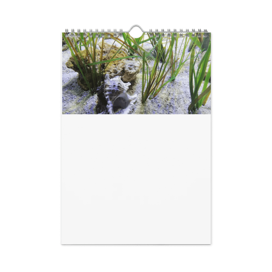 new years product image (7)