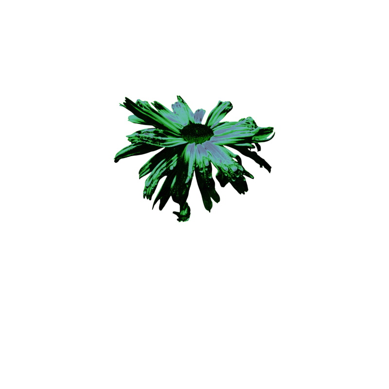 Abstract Green Floating Daisy product image (7)