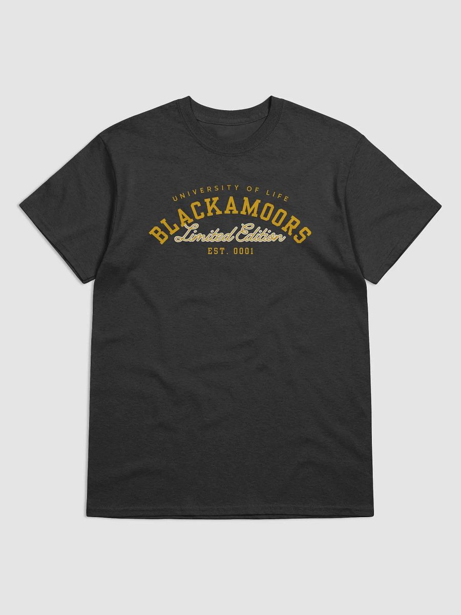 Blackamoors University product image (1)