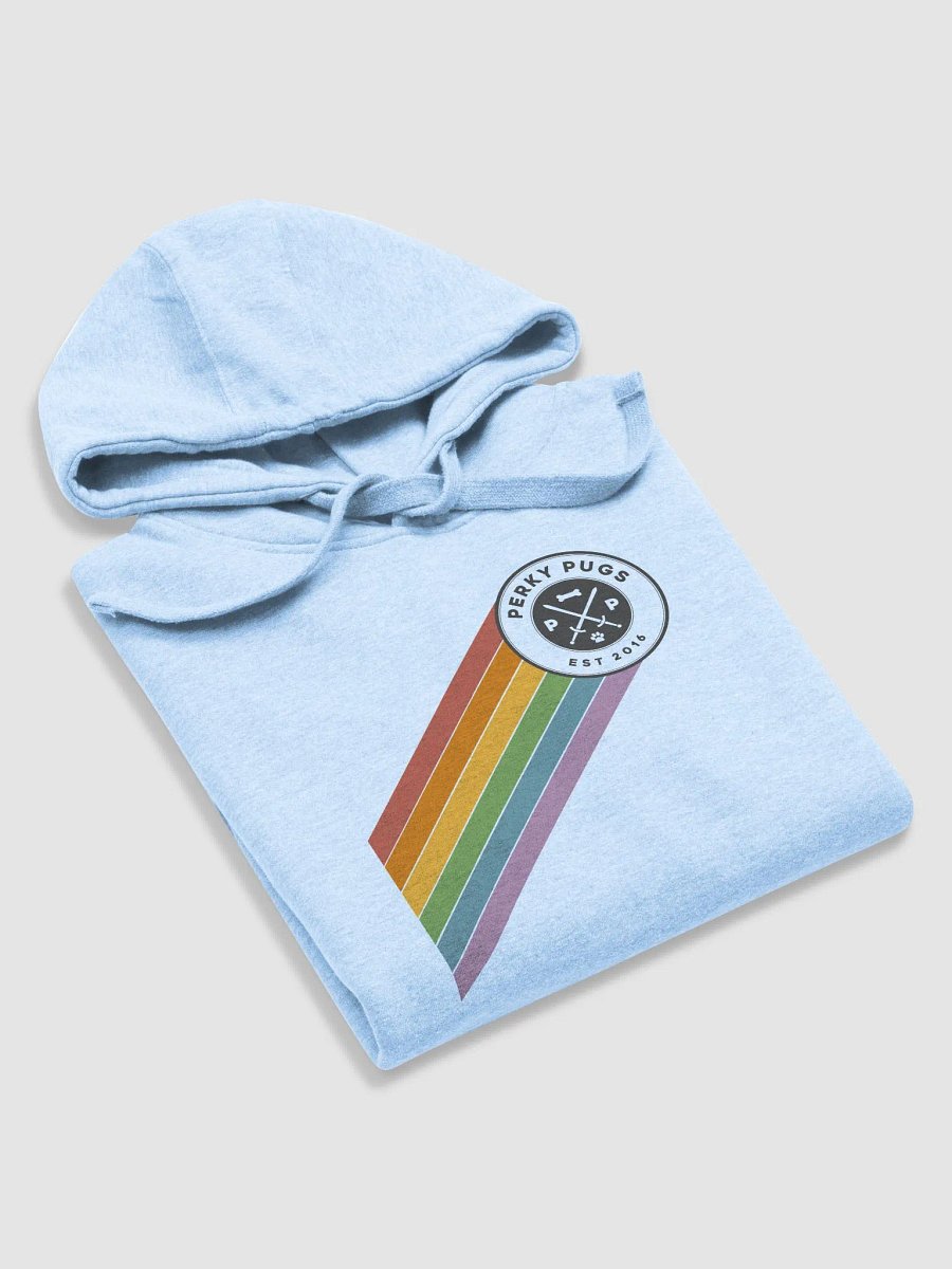Perky Pride 2024 Retro Stripe Hoodie product image (6)