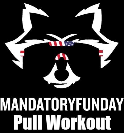 Pull Workout product image (1)