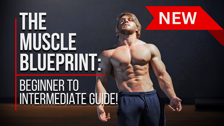 The Muscle Building BluePrint: Beginner To Advance Guide! product image (2)