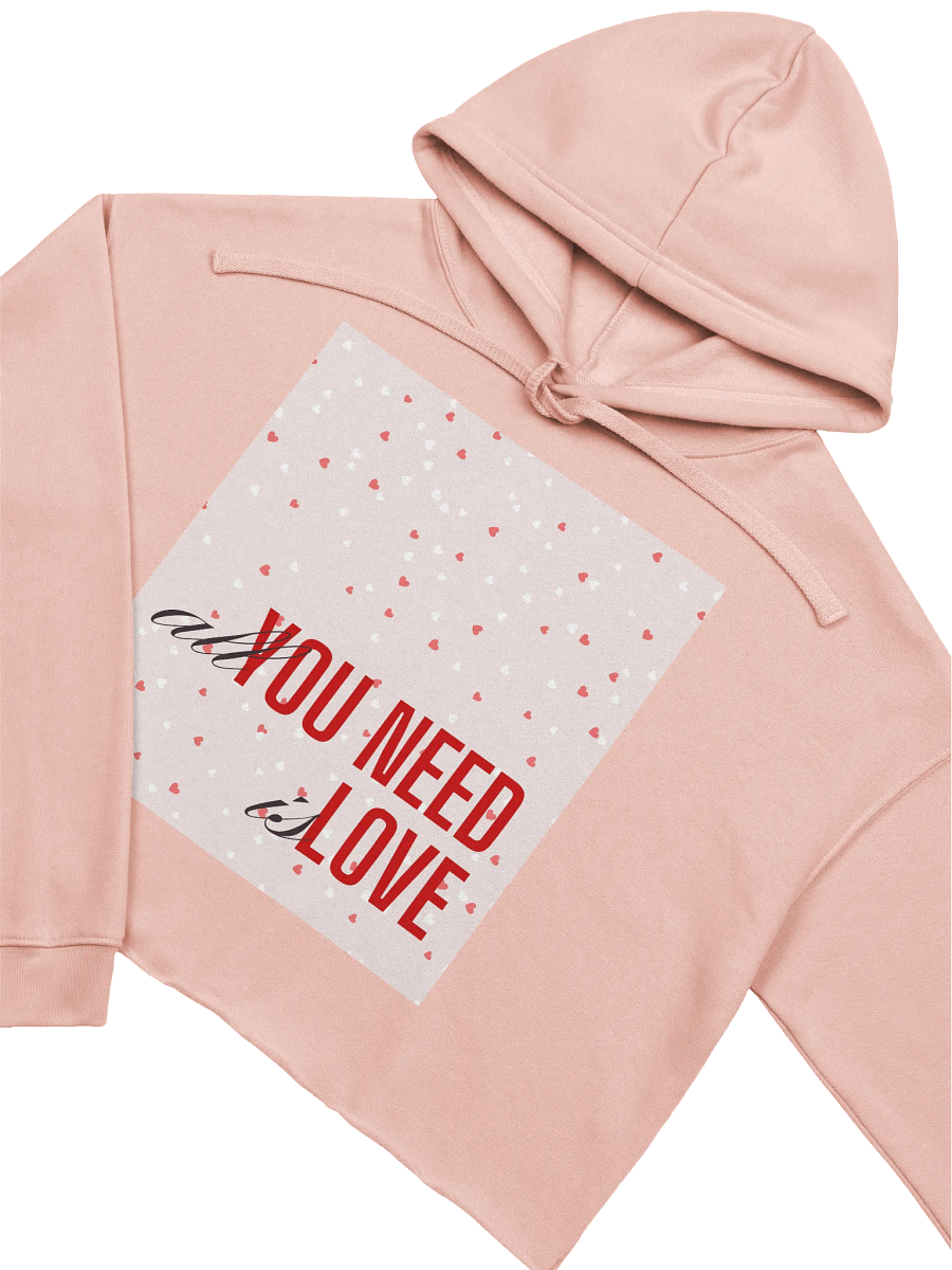 Love is All You Need Crop Hoodie product image (3)
