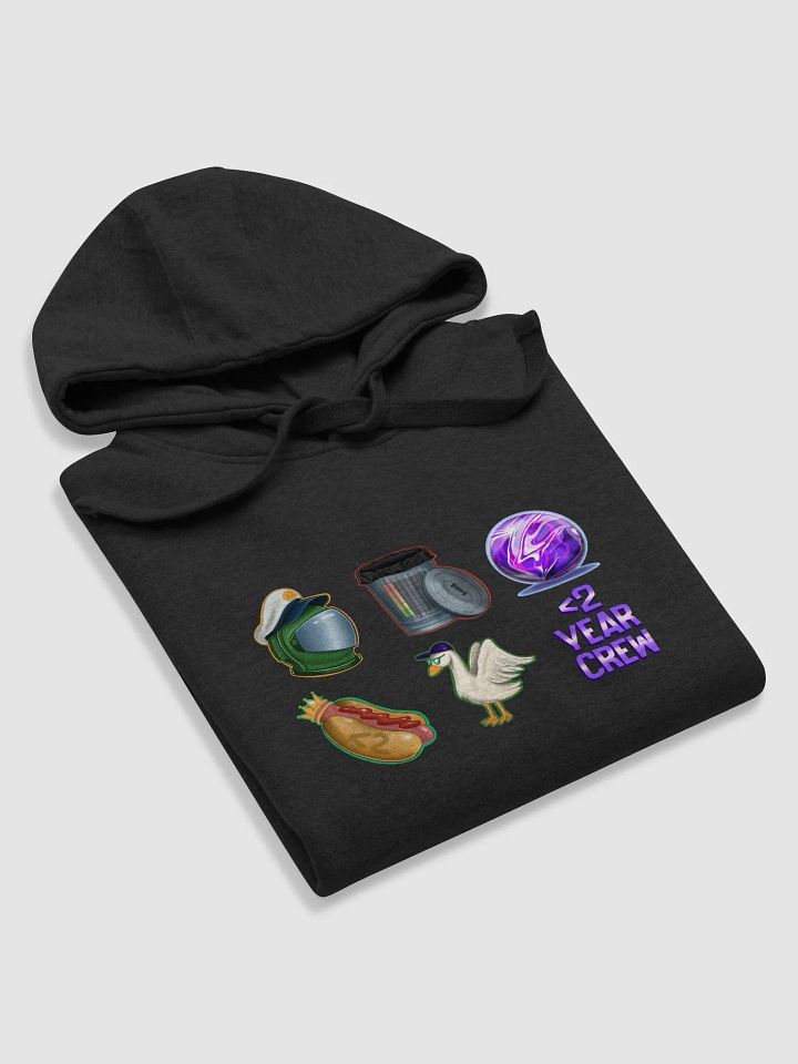 Less Than 2 Year Celebration Hoodie Premium product image (1)