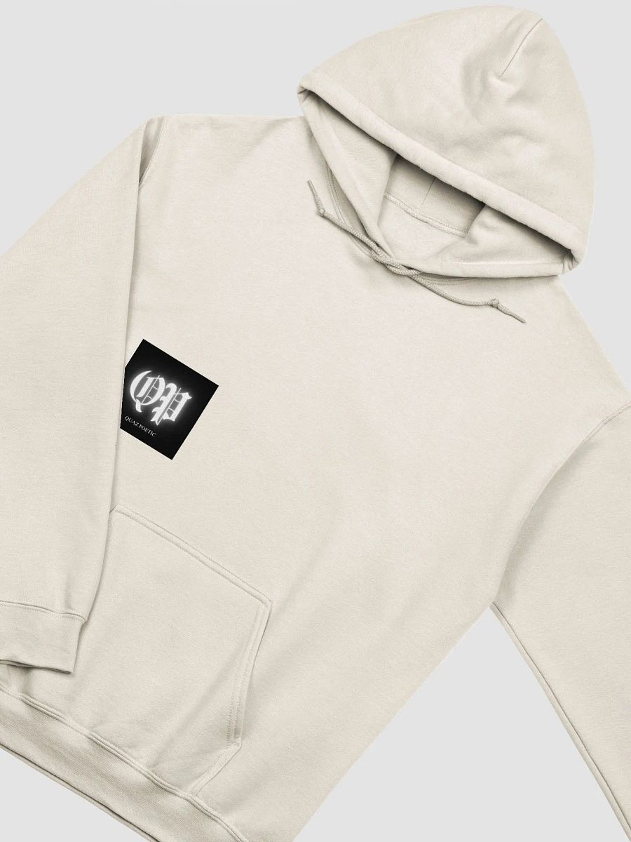 QP big back hoodie product image (10)