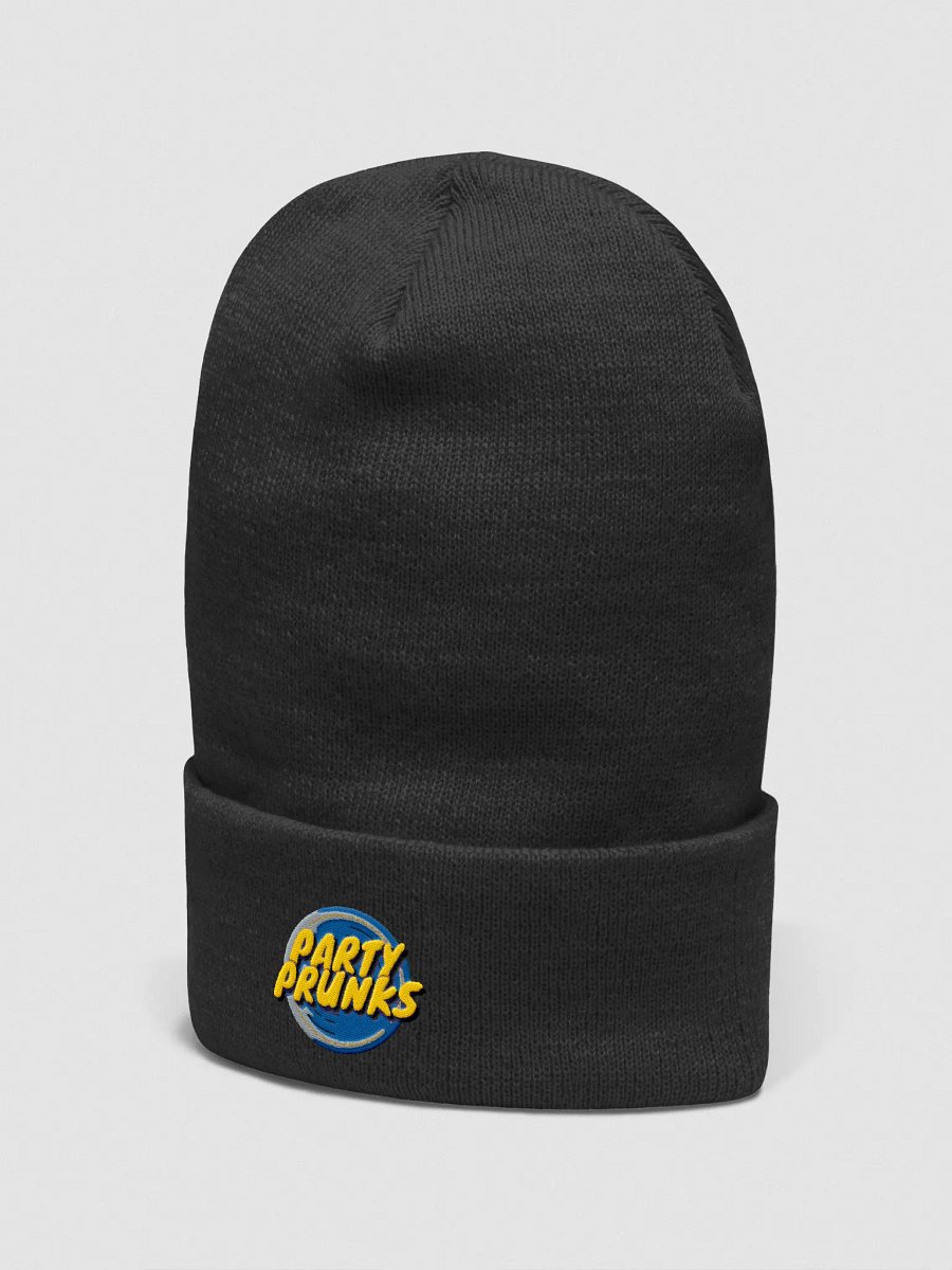 WINTER HAT - PARTY PRUNKS product image (4)