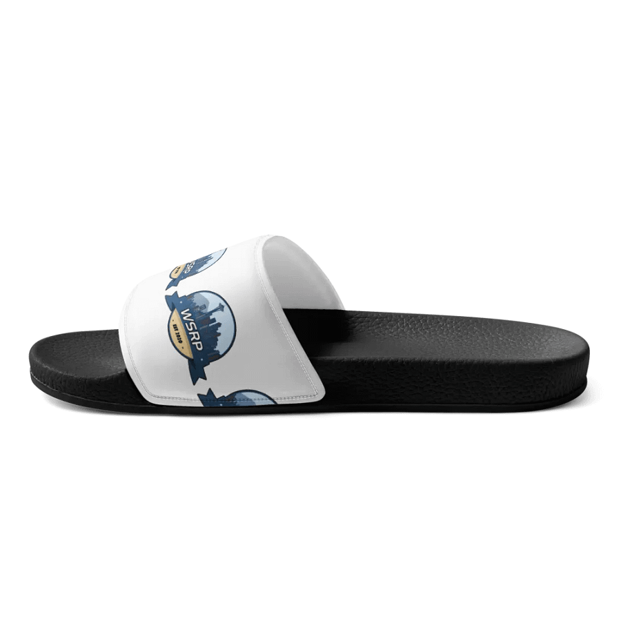 WSRP Slides product image (2)