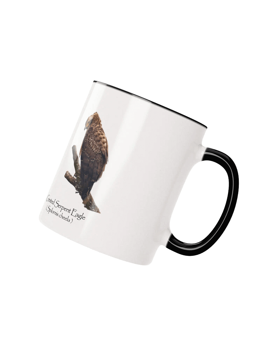 Crested Serpent Eagle mug product image (12)