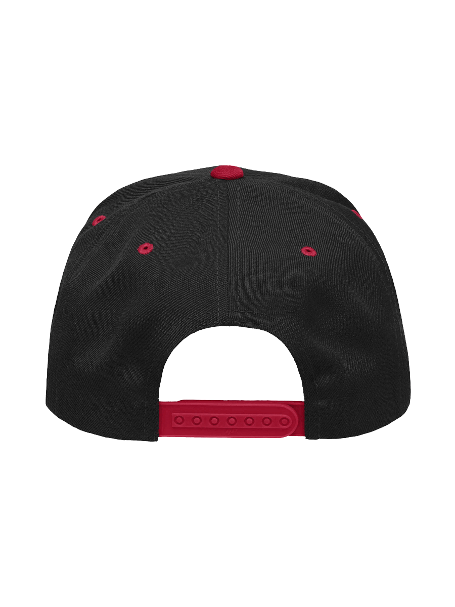 ArchiveBox Snap-Back Hat product image (4)