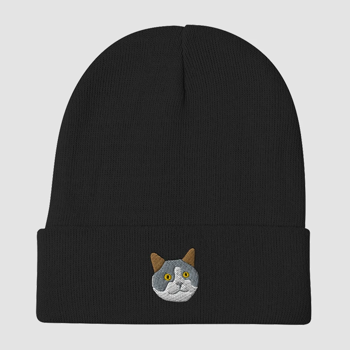 Wallybean Embroidered Beanie product image (1)