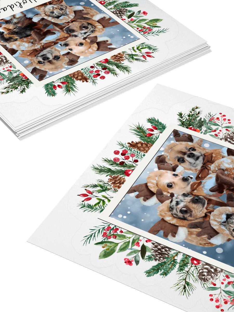 LIMITED EDITION Sticker - Paws [Holidays 2024] product image (4)