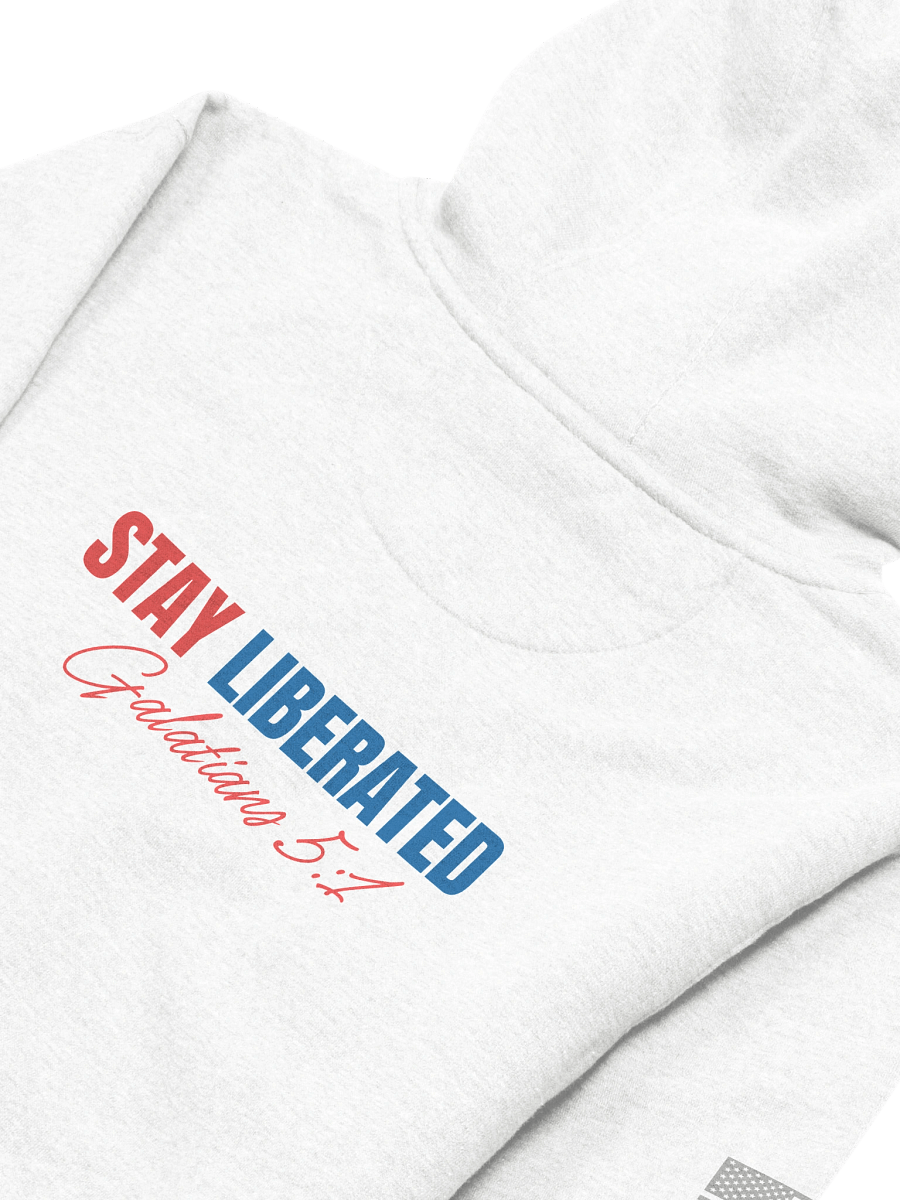 LP hoodie product image (26)