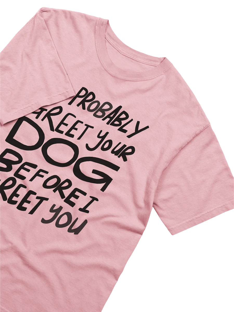 I'll Probably Greet Your Dog First Relaxed Tee product image (3)