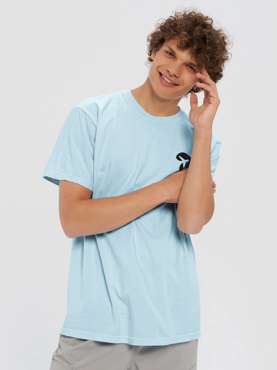 Embroidered Logo T-Shirt - Chambray product image (9)
