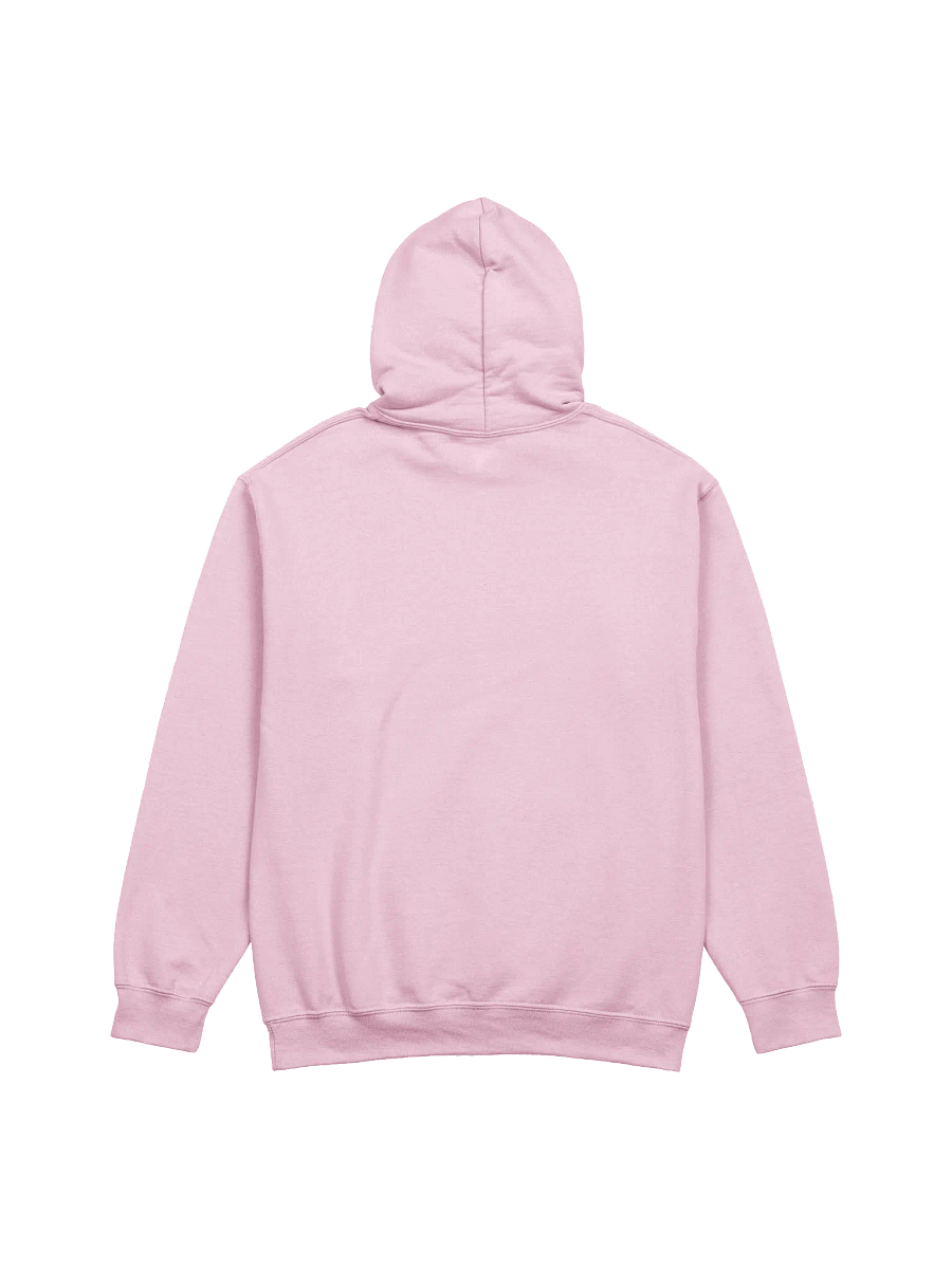 Rynz Hoodie 2.0 product image (4)