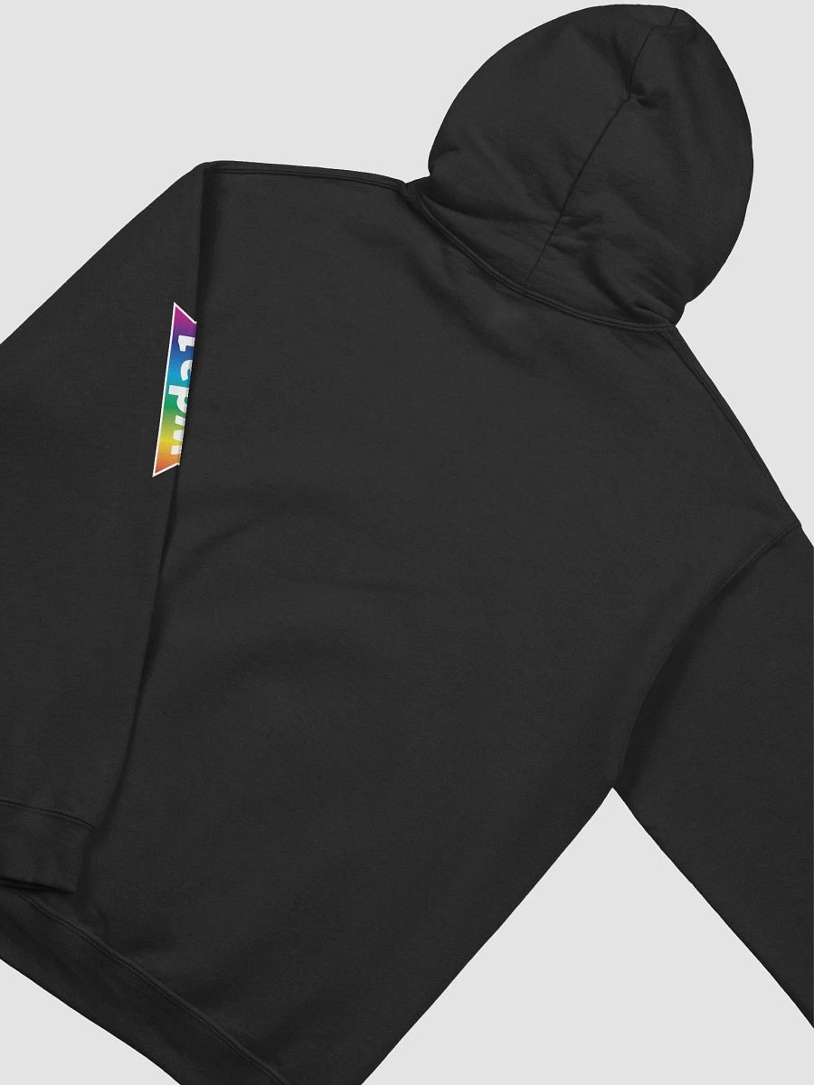 WDA1 Hoodie product image (4)