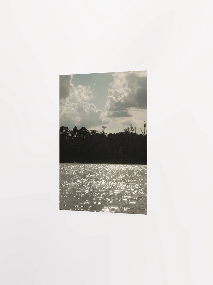 Florida Lake 4 product image (25)