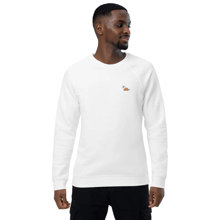 TURTLE product image (1)