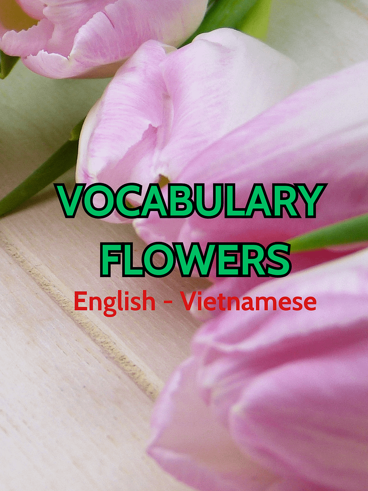 Vocabulary about flowers product image (1)