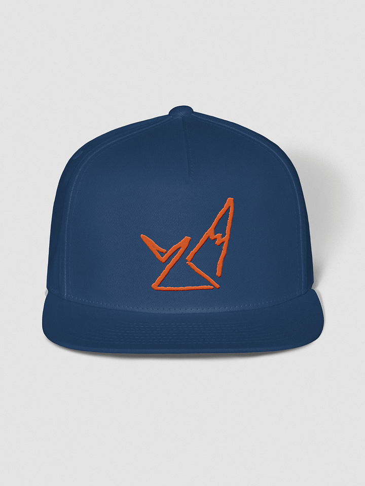 amazin snapback product image (1)