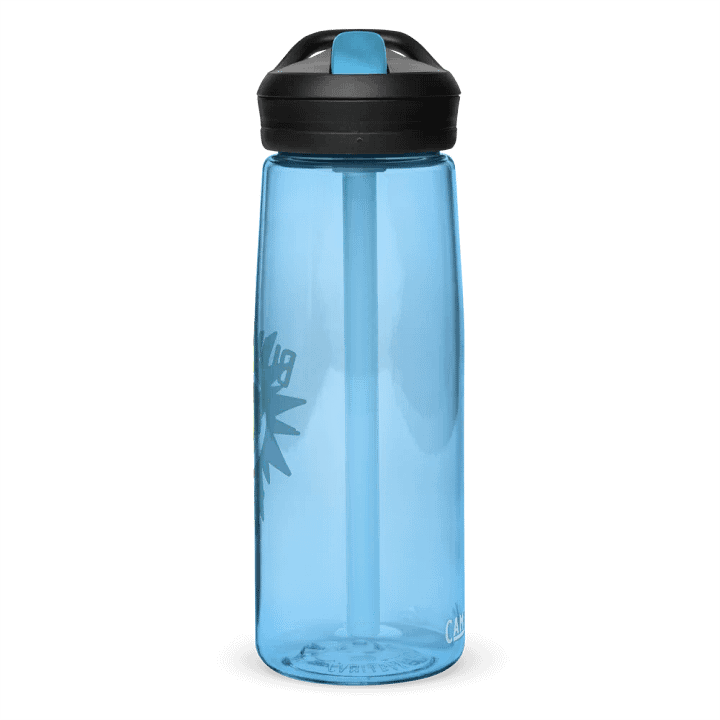 Blame the turtle! Water Bottle Straw product image (59)