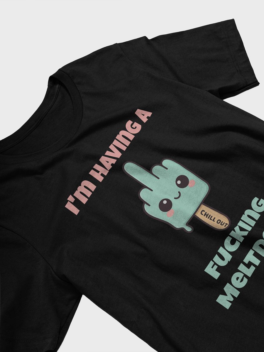 I'm Having A Fucking Meltdown Tee product image (3)