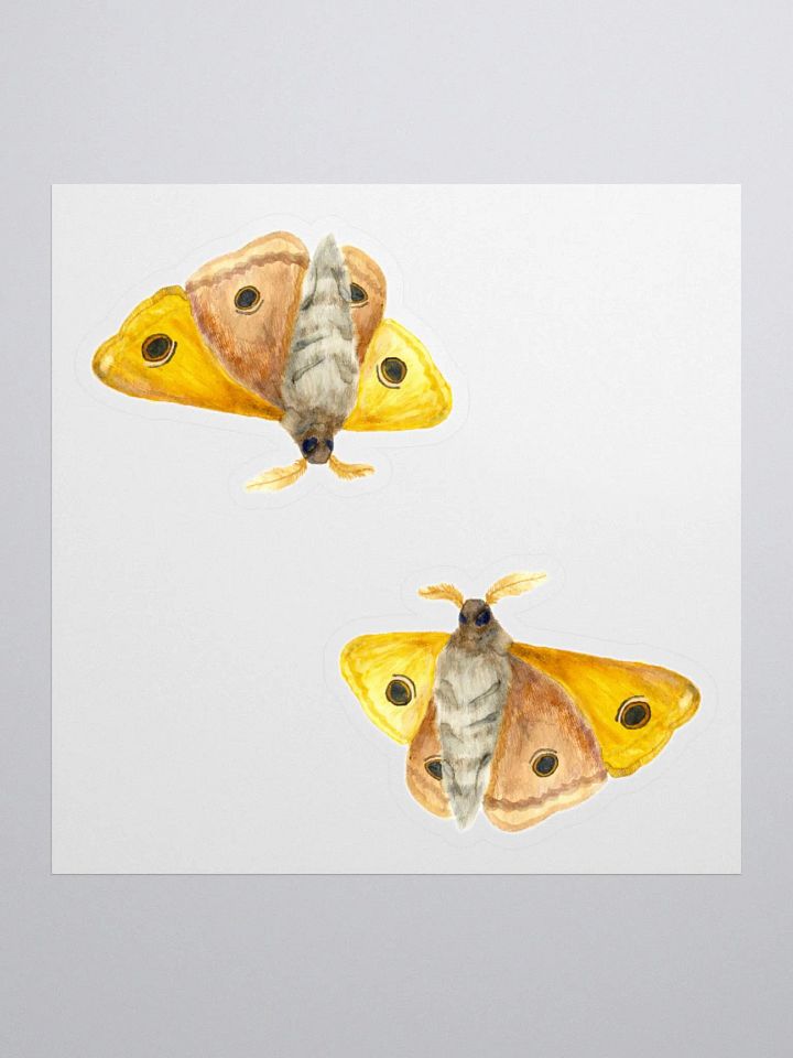 Small Emperor Moth Sticker (x2) product image (1)