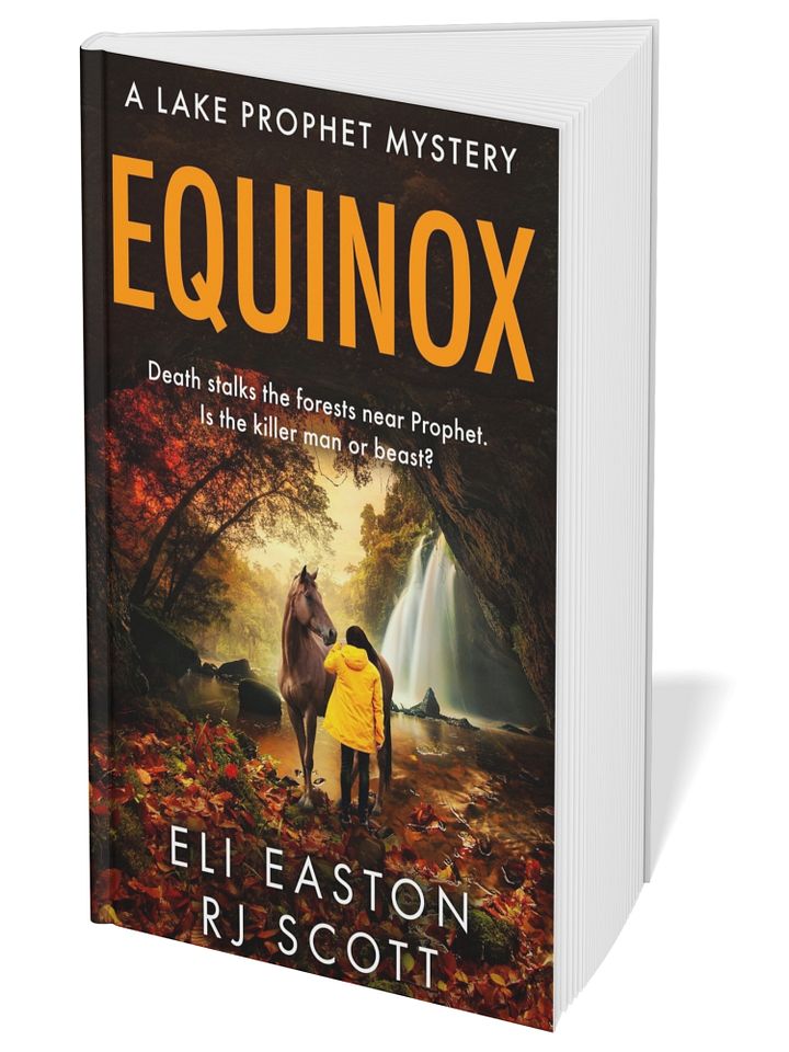 Equinox (Lake Prophet Mysteries, 2) product image (1)