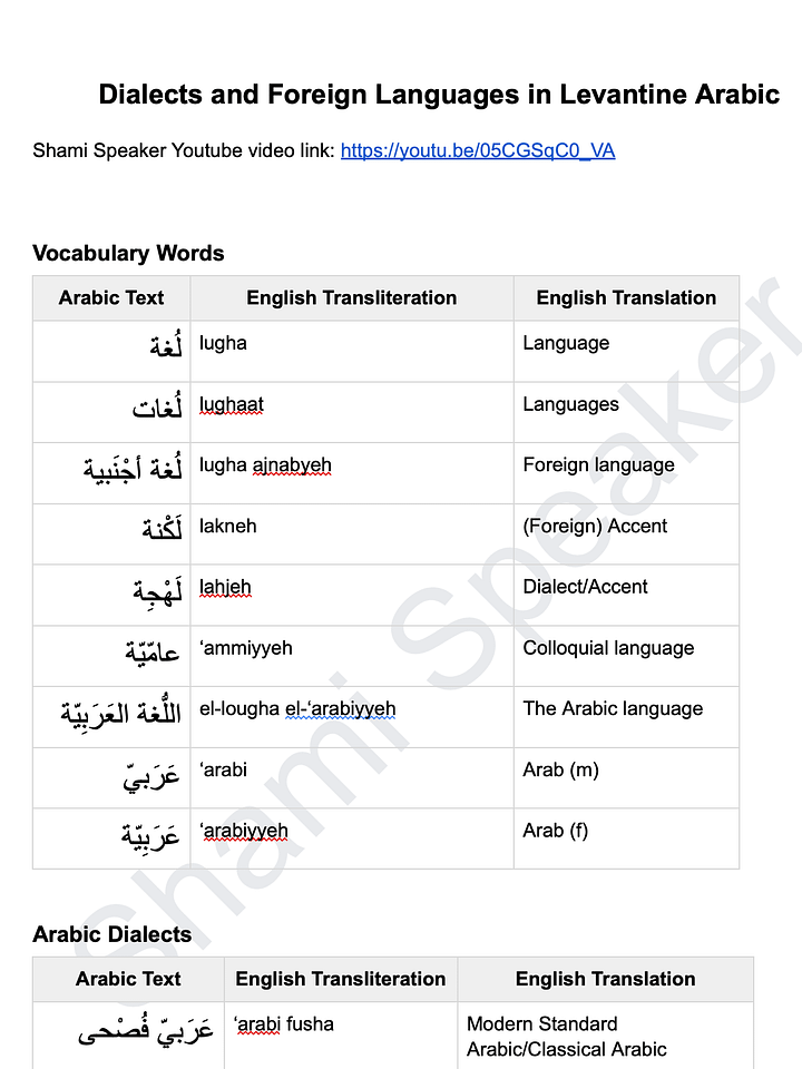 Dialects and Foreign Languages in Levantine Arabic product image (2)