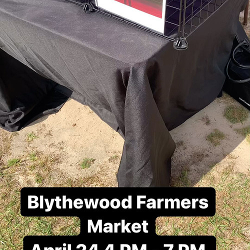Check out Kittydragon Draws at the @blythewoodmarket