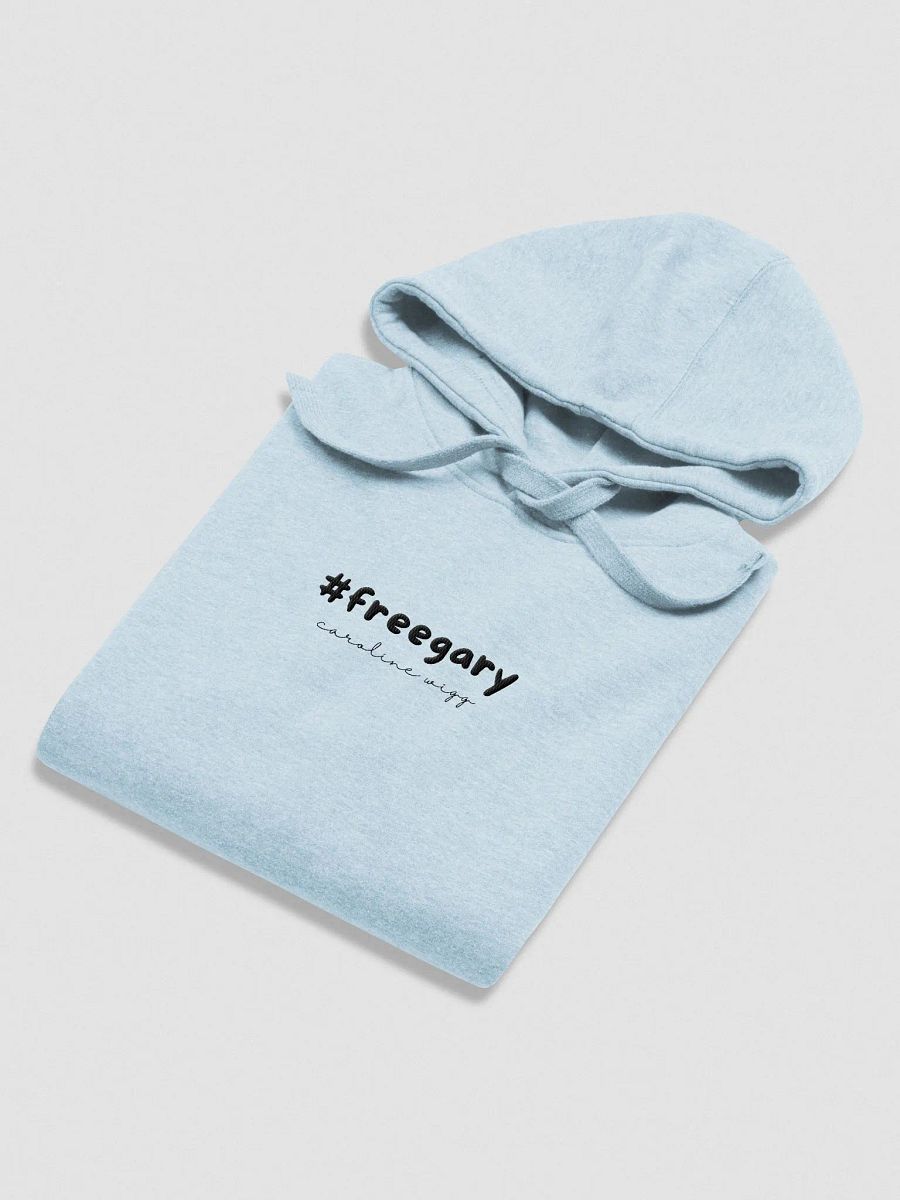 Free Gary Unisex Embroidered Hoodie - Light Colours product image (14)