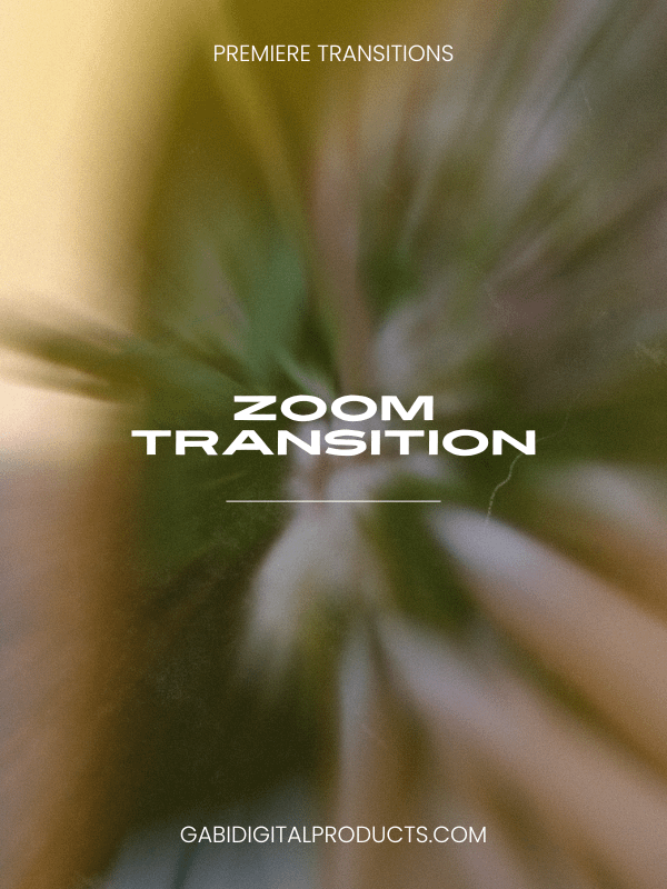 Premiere Pro MRR/PLR Editing TRANSITIONS product image (5)
