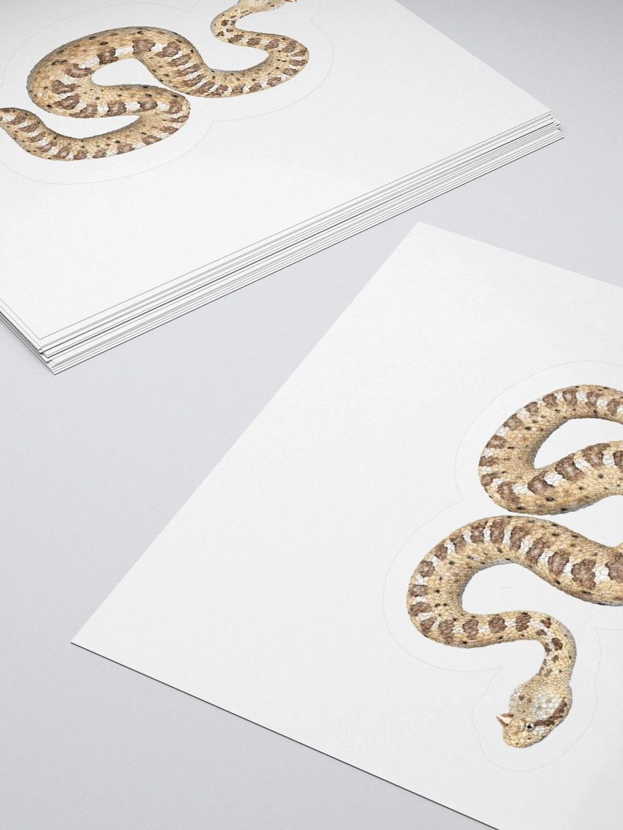 Die-Cut Sticker – Sonoran Sidewinder product image (4)