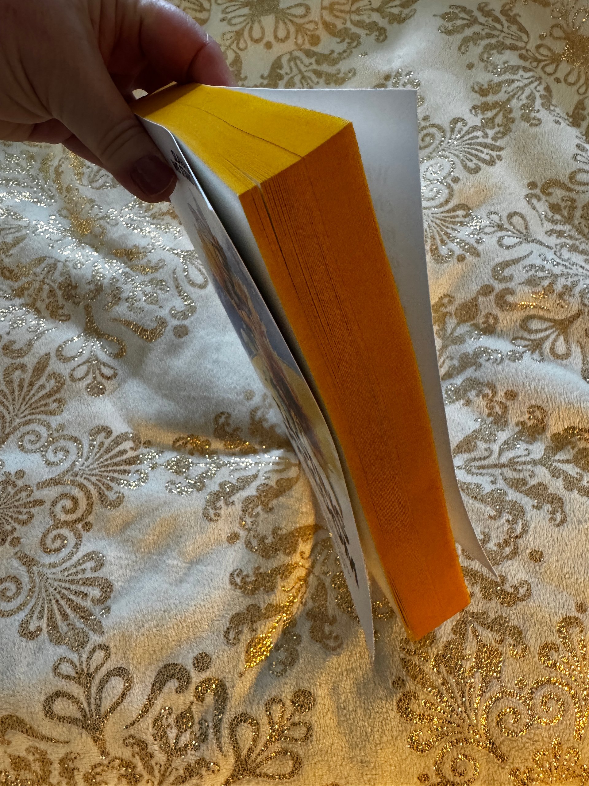 TASTING FREEDOM: SLAVA UKRAINI - Sunflower-Yellow Page Edges, Signed and Personalized by Shannon Delany product image (4)