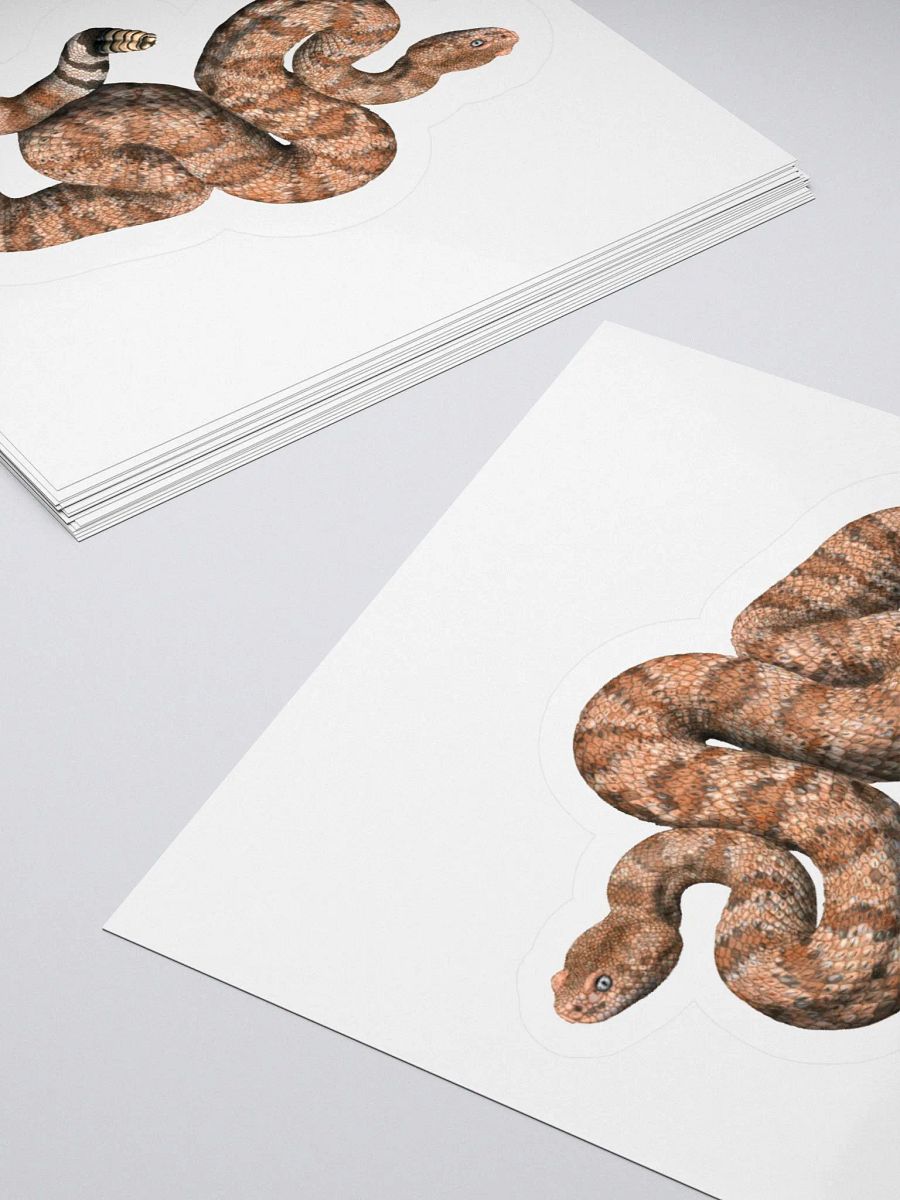 Die-Cut Sticker – Speckled Rattlesnake (Orange) product image (4)