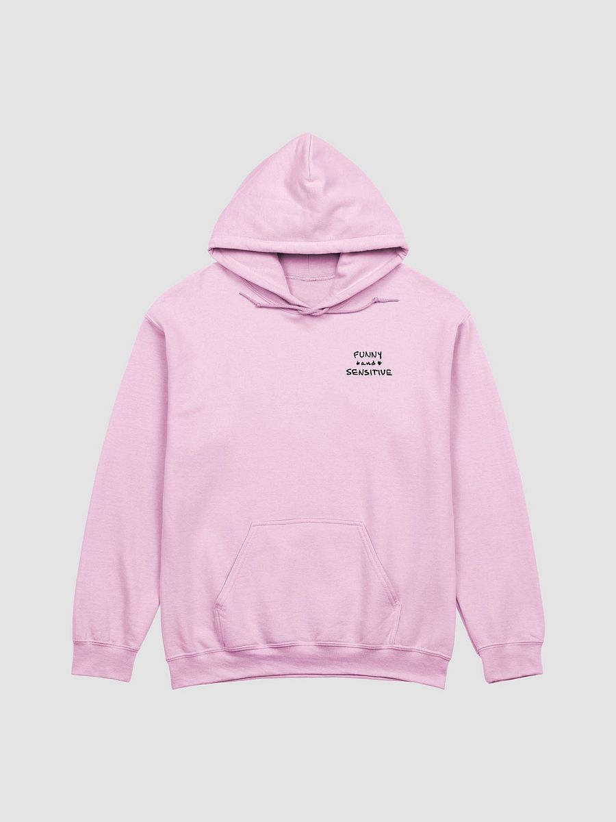 FUNNY *and* SENSITIVE (sm. design) classic hoodie product image (38)