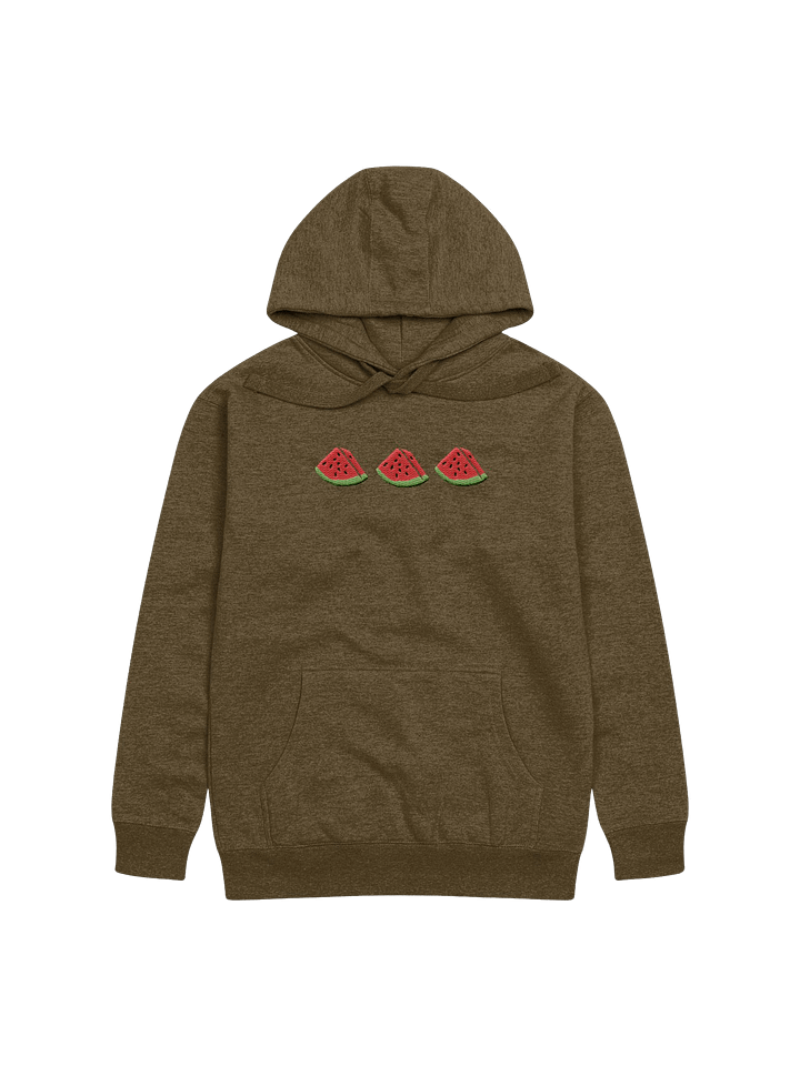 Sandia Embroidered Hoodie (green) product image (1)