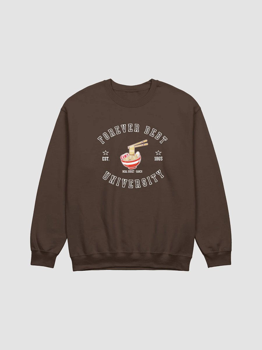 Forever Debt University - on a Ramen Budget Sweatshirt product image (4)