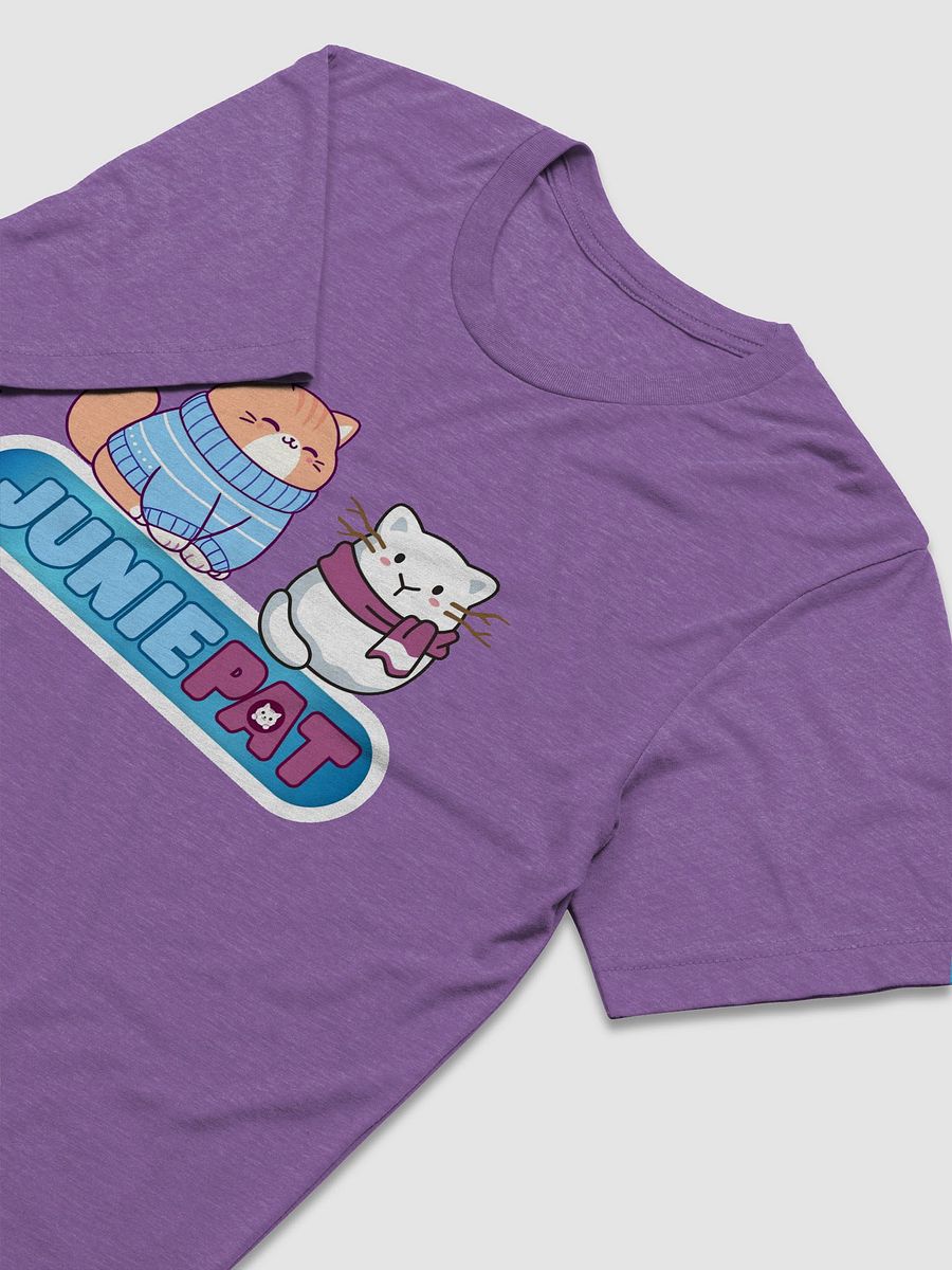Winter Cool Cats Triblend Tee product image (31)
