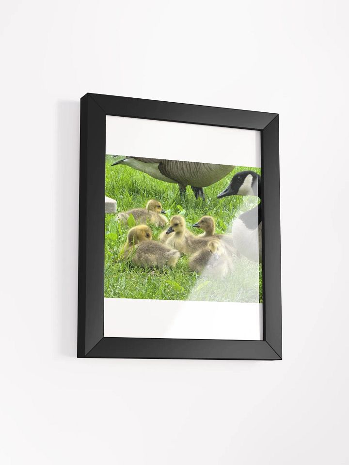 Mamma goose and babies product image (9)