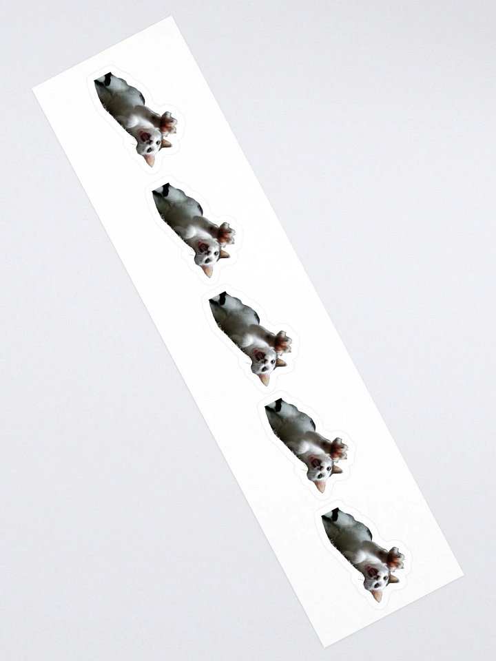JIA product image (2)