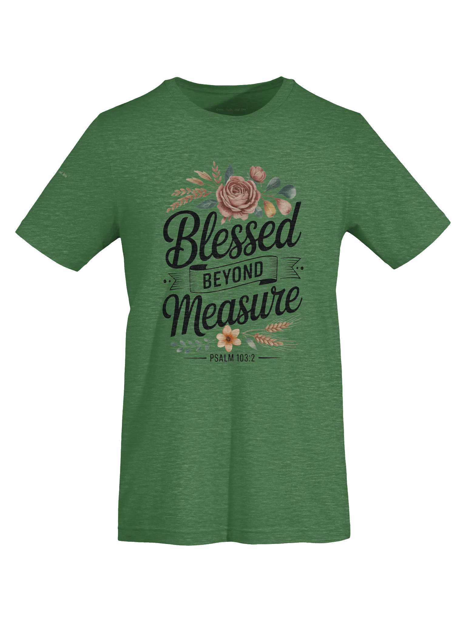 Blessed Beyond Measure T-Shirt product image (20)