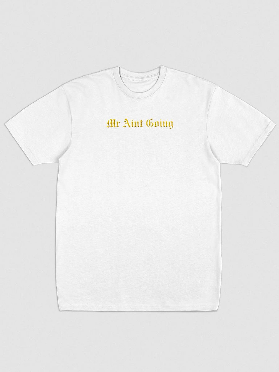 Mr Aint Going HeavyWeight Ebroided Tees Designed by Anopa Silver product image (15)