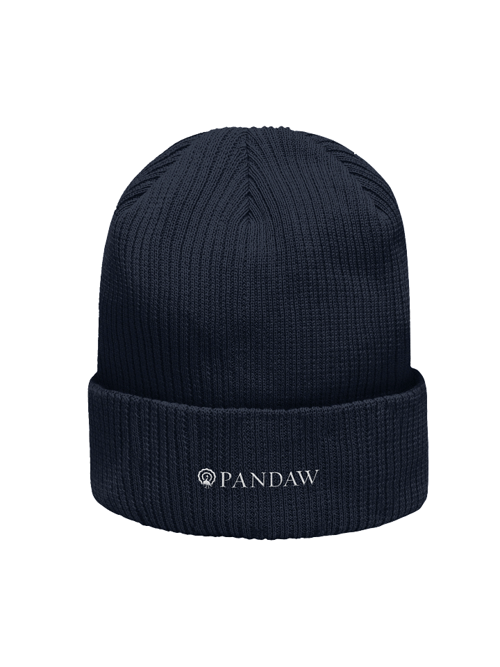 Beanie product image (1)