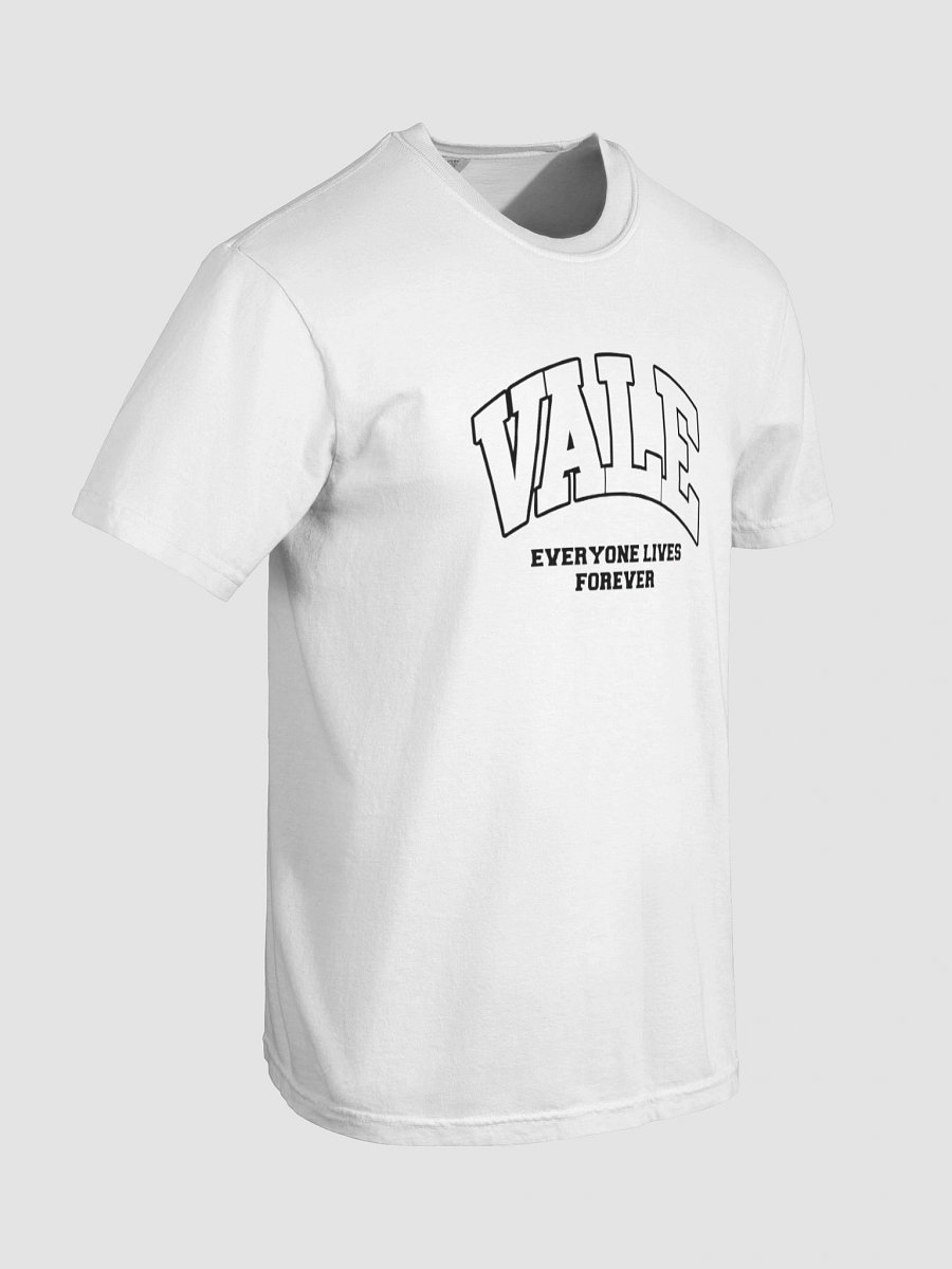 Valve Fitness & Services Logo T-shirt product image (65)