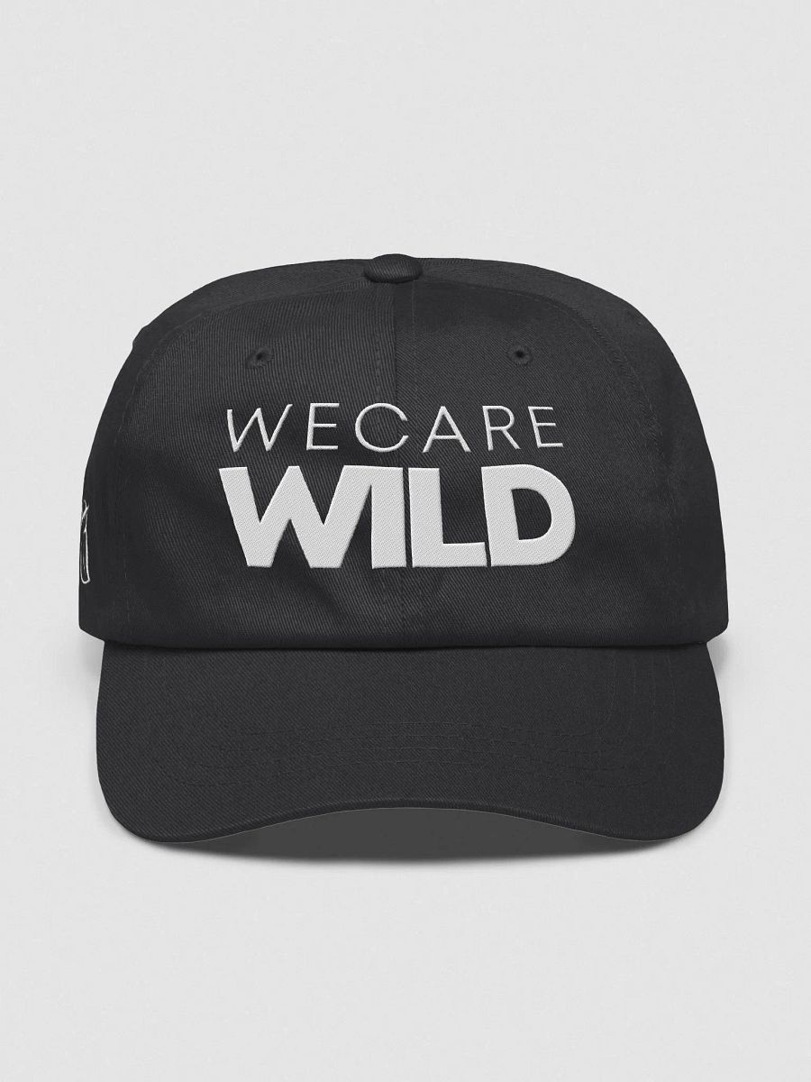 Dad Hat product image (7)