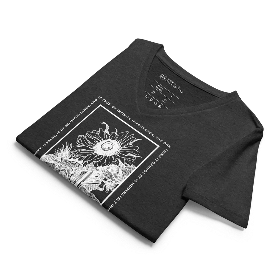 Christianity If True C.S. Lewis Quote V-Neck T-Shirt product image (45)