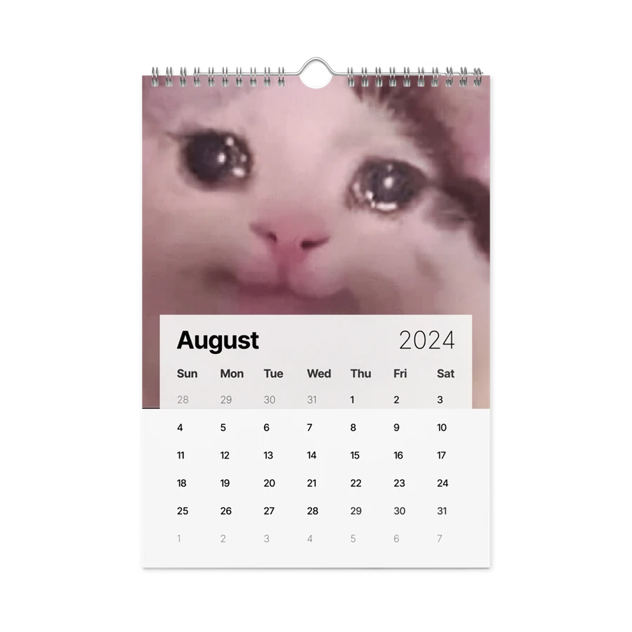 Wall Calendar (2024): Meme Cats product image (4)